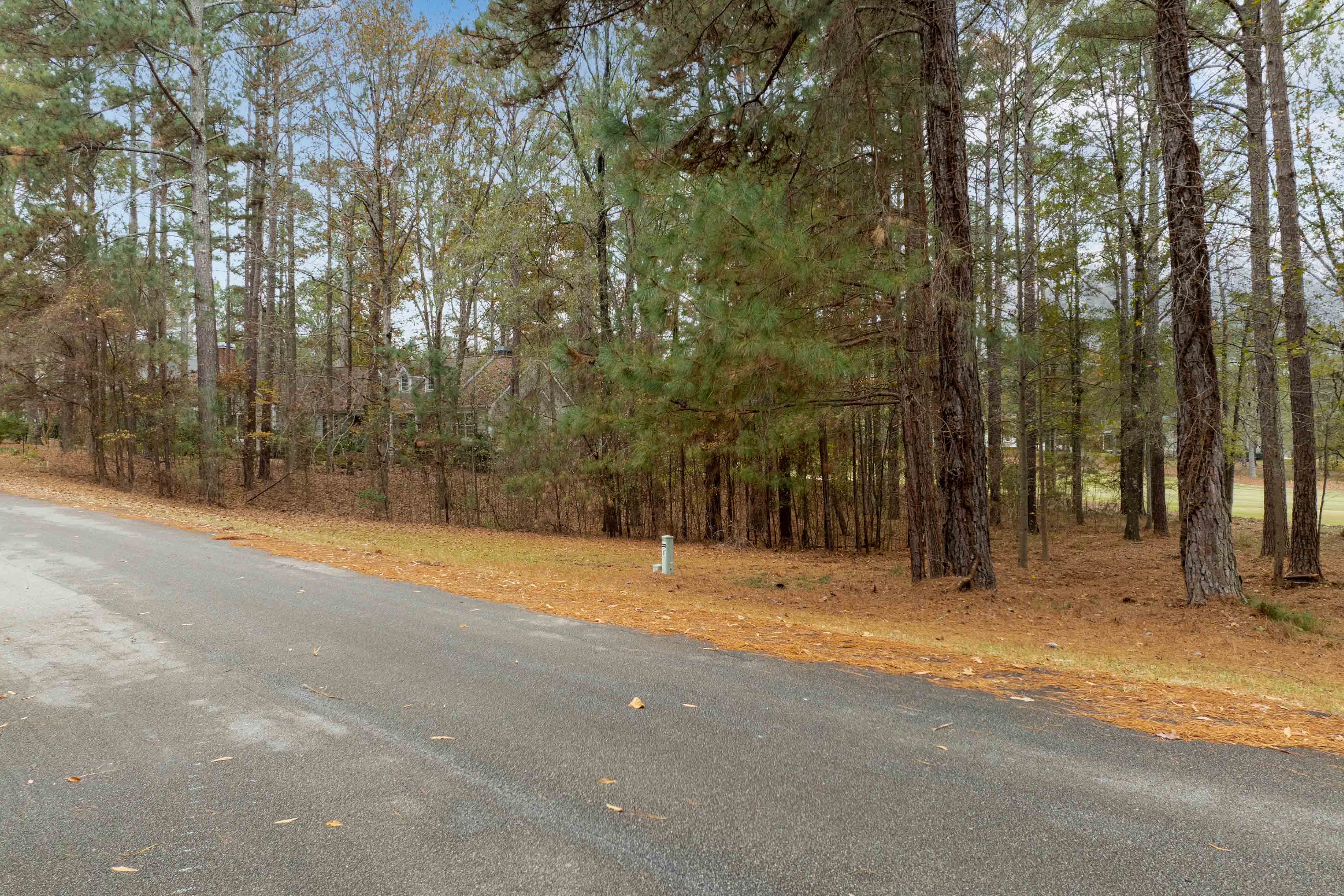 164 Hopeton Lane image 4